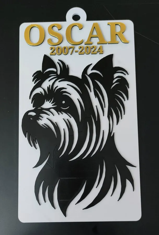 Oscar branded project